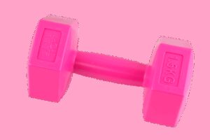 Elle mancuerna dumbbell fucsia 1.5KG x 2 SR8248