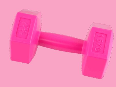 Elle mancuerna dumbbell fucsia 1.5KG x 2 SR8248