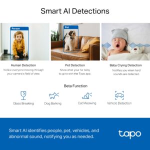 TP-link camara Wi-Fi vigilancia 360º - Tapo C220