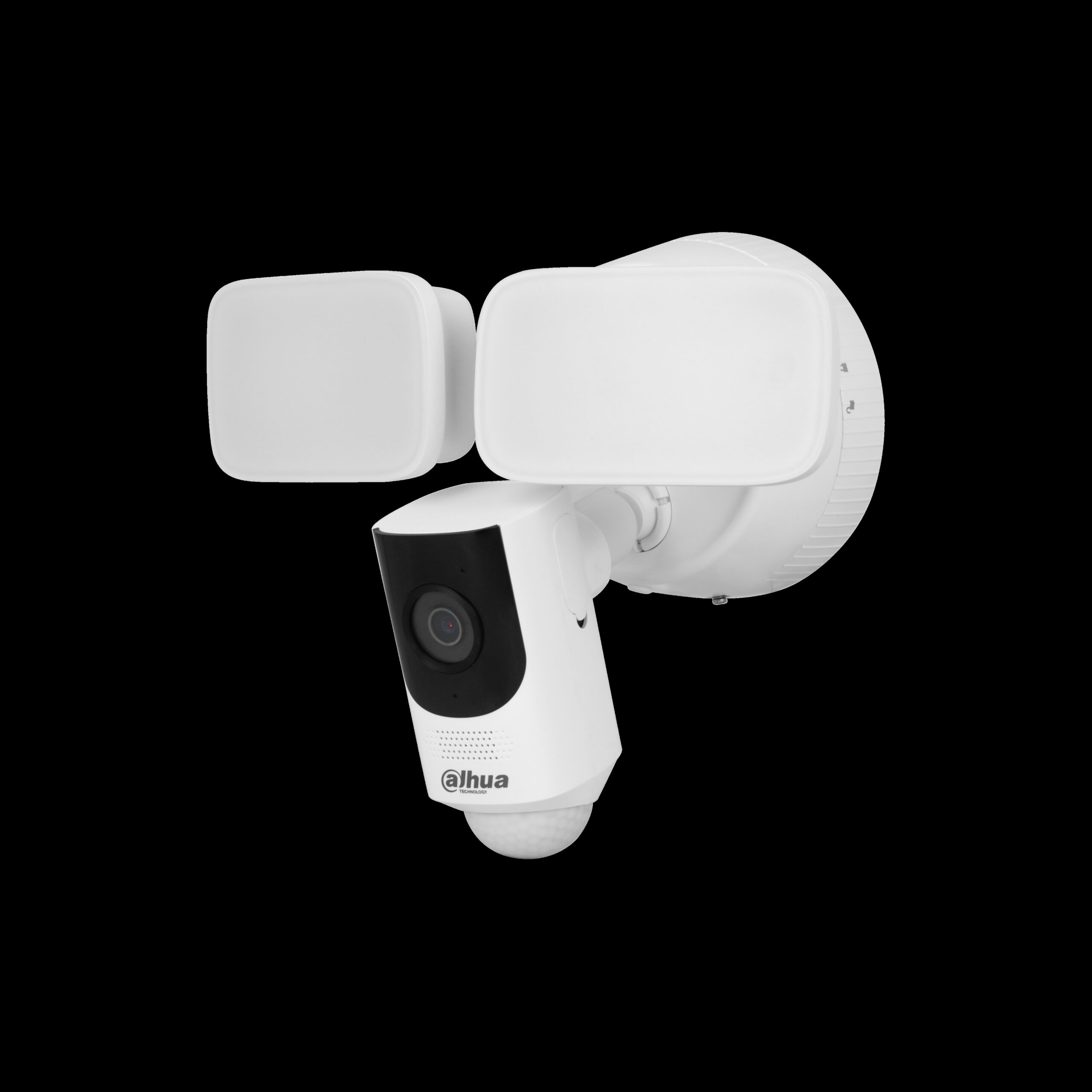 DH00013_1.jpg